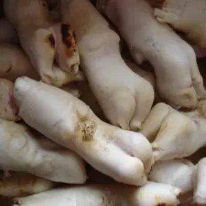PIED D'AGNEAU CONGELÉ X 10